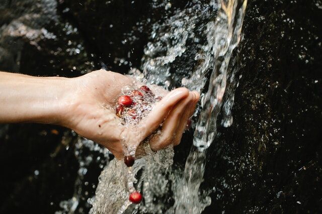 Services Provided By A Reputed Water Filter Company